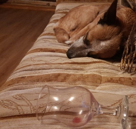 DespinaAndGlass.jpg