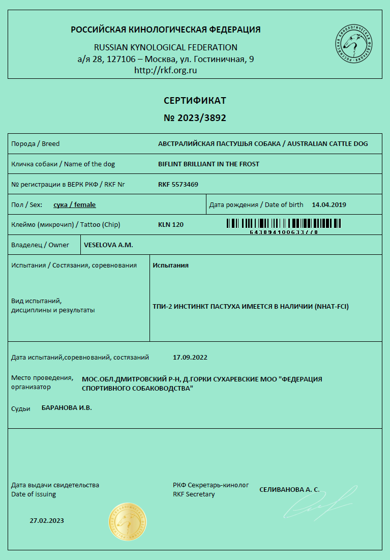 Сертификат на наличие пастушьего инстинкта