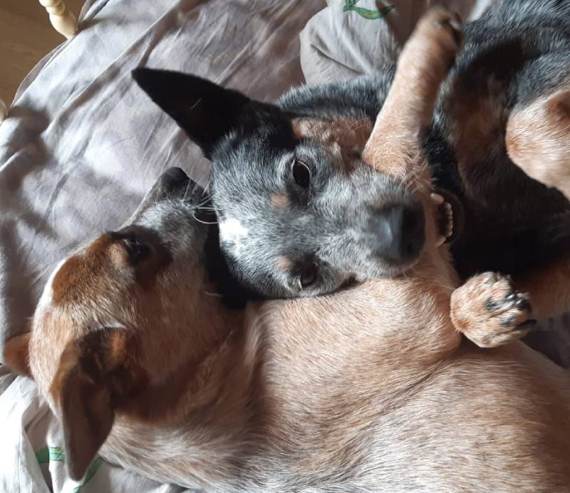 Sisters_01.jpg